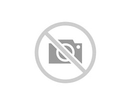 VARAL OR16410 16 PRENDEDORES PLASTICOS ORDENE