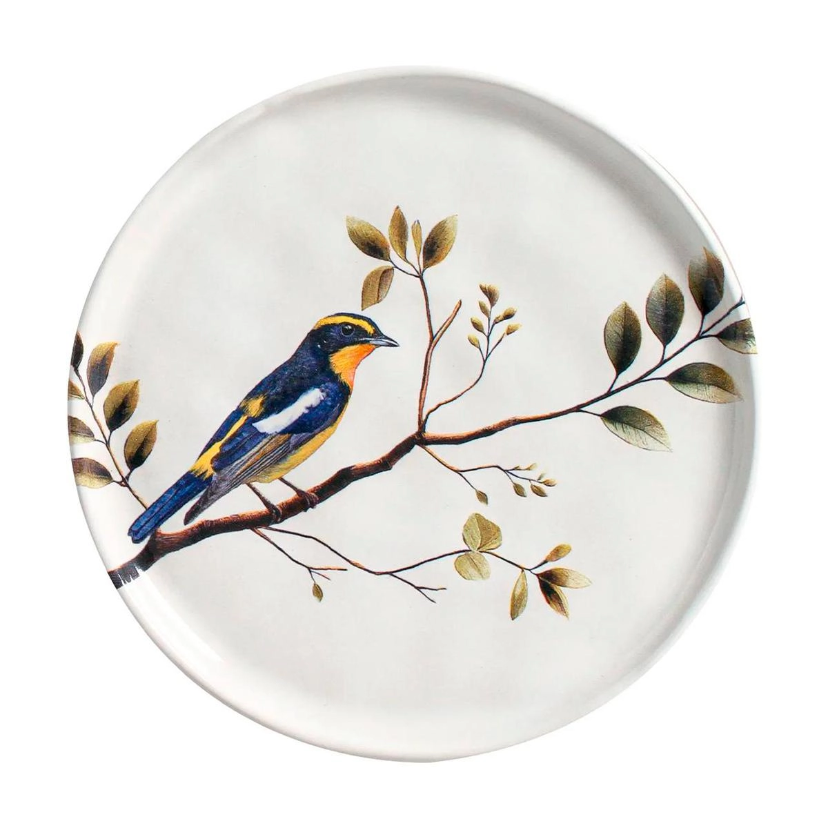 Aparelho de jantar Oceano + Birdy 30 peças - Porto Brasil