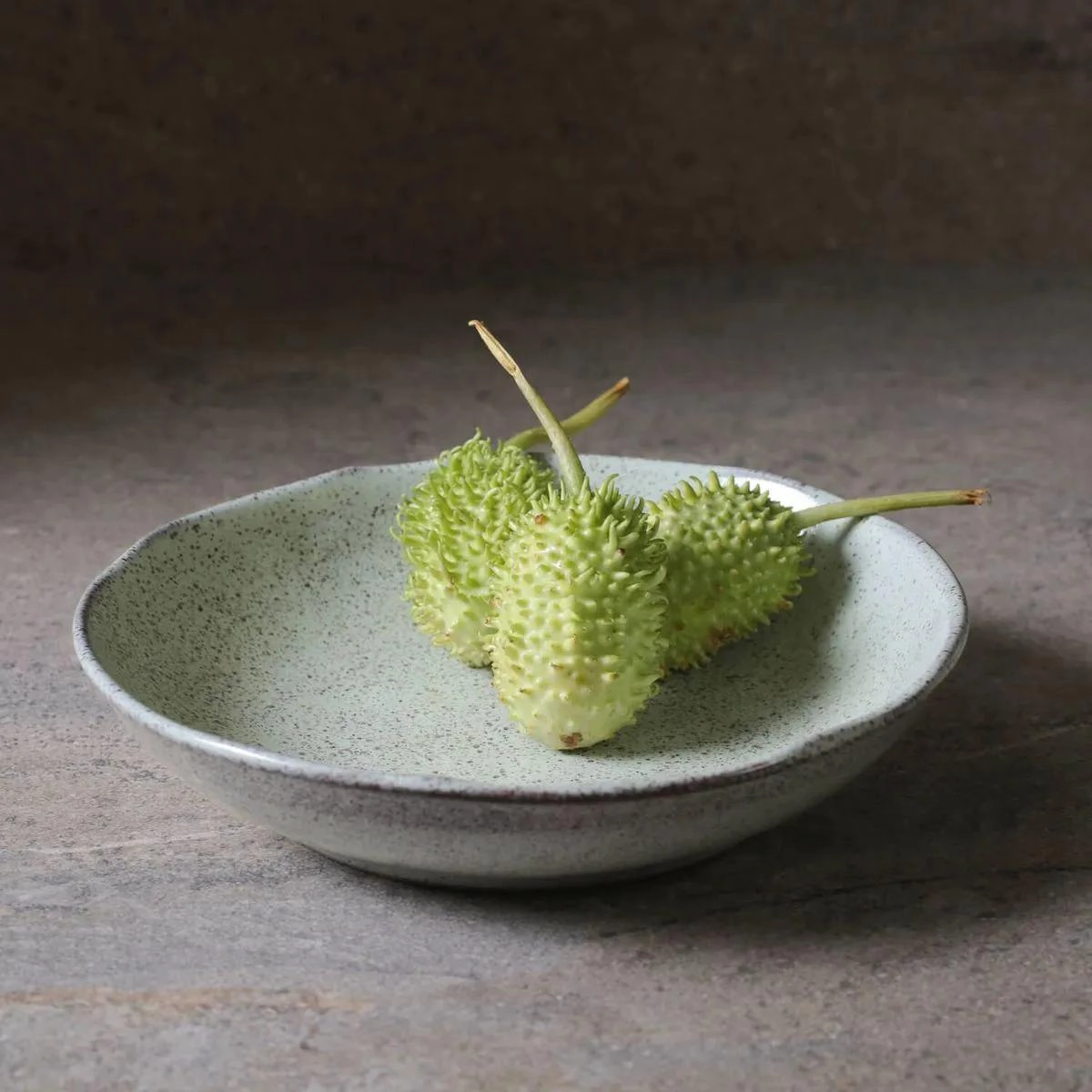 APARELHO JANTAR 30PCS BIO PISTACHE PORTO BRASIL