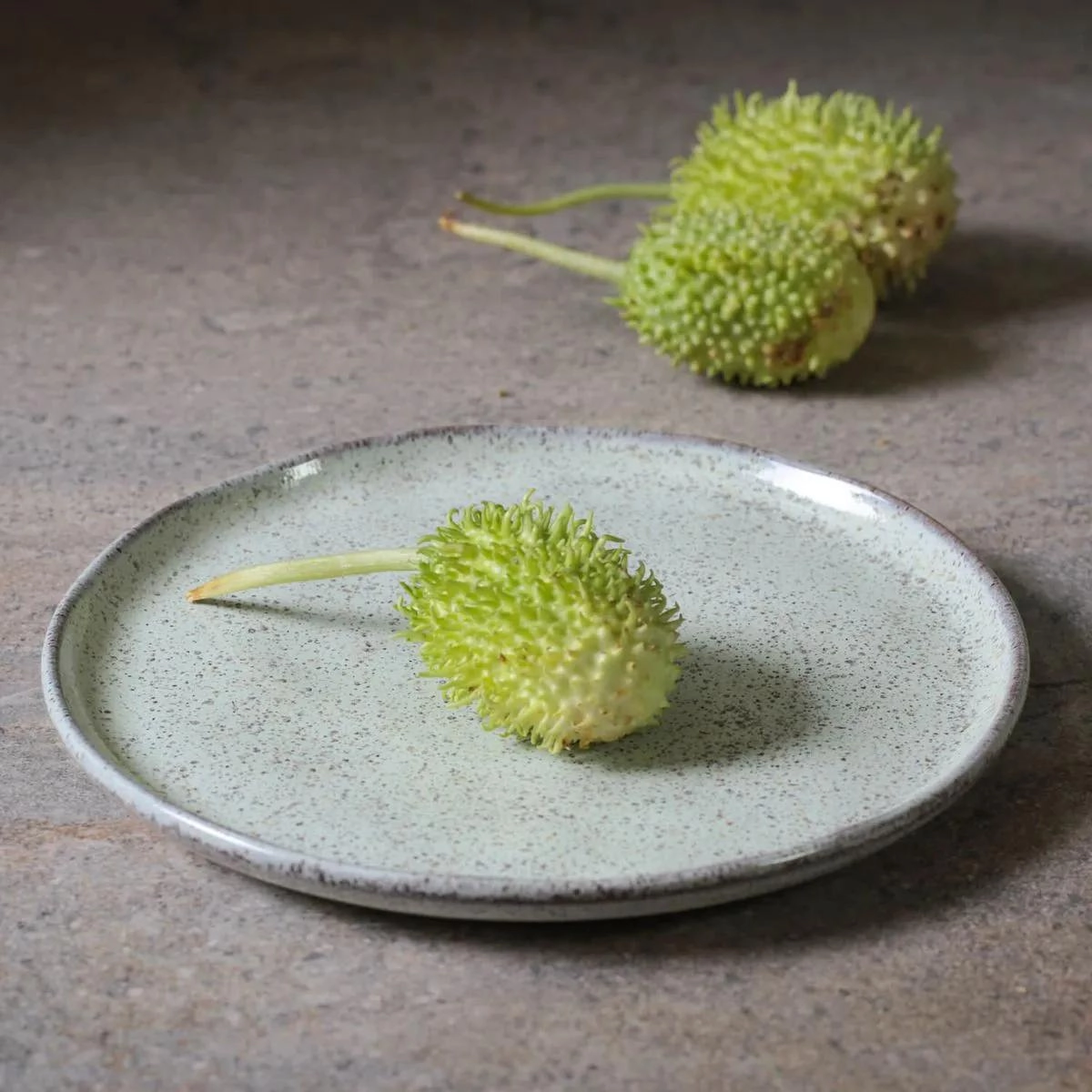 APARELHO JANTAR 30PCS BIO PISTACHE PORTO BRASIL