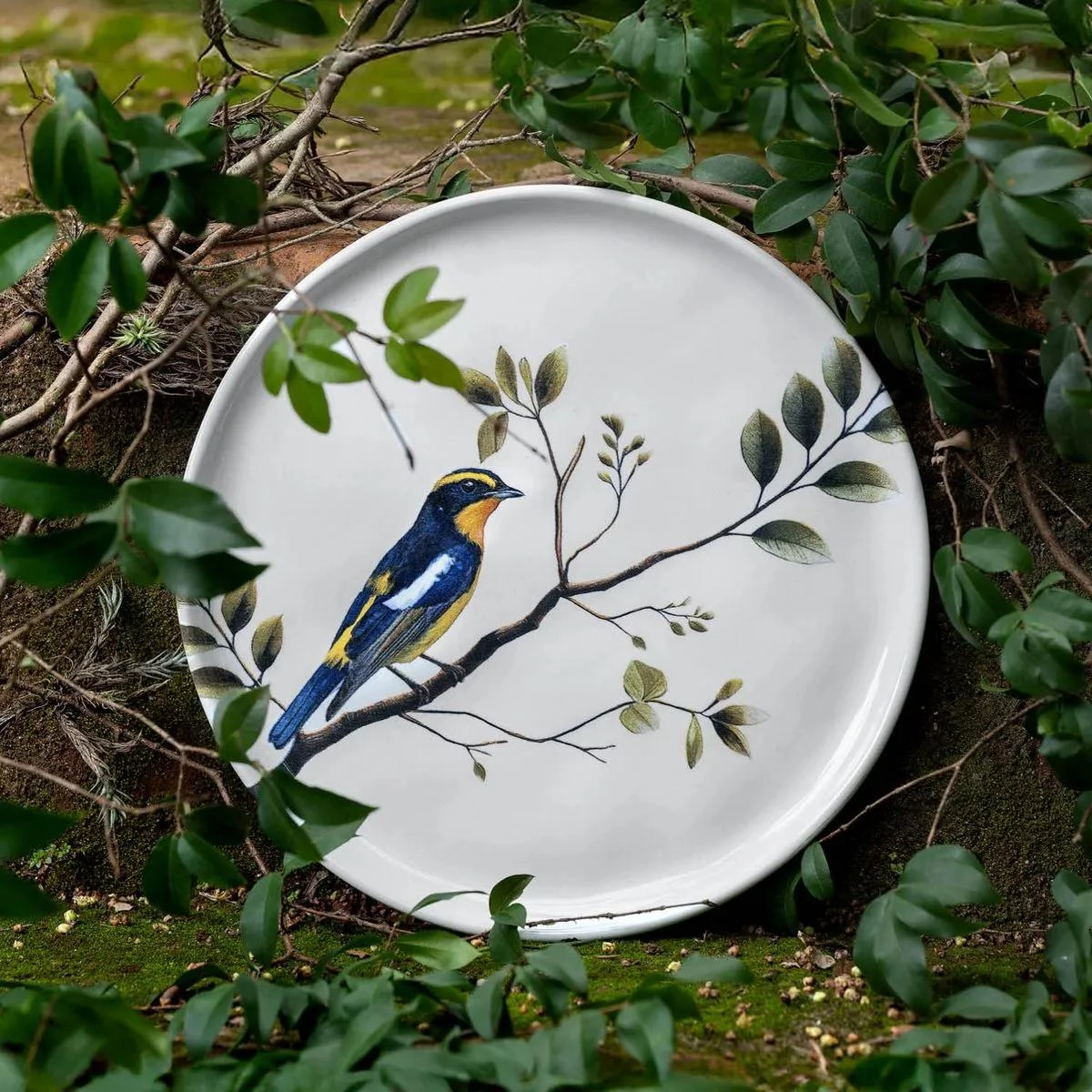 Aparelho de jantar Mix and Match Birdy and Greenery com 30 peças - Porto Brasil