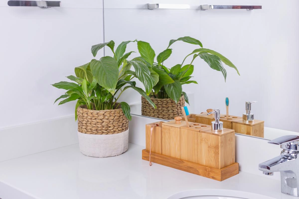 Conj Banheiro 5pcs Bm1505 Ecokitchen Bambu Mimo Style