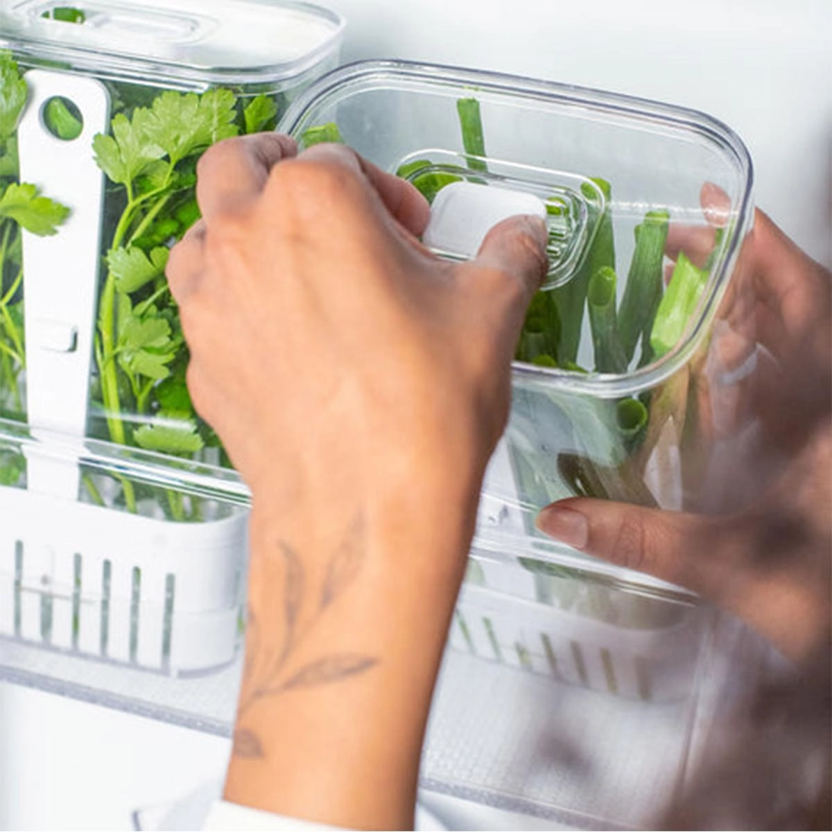 Organizador de Temperos Clear Fresh 2,3 Litros Martiplast Ou - Natural 