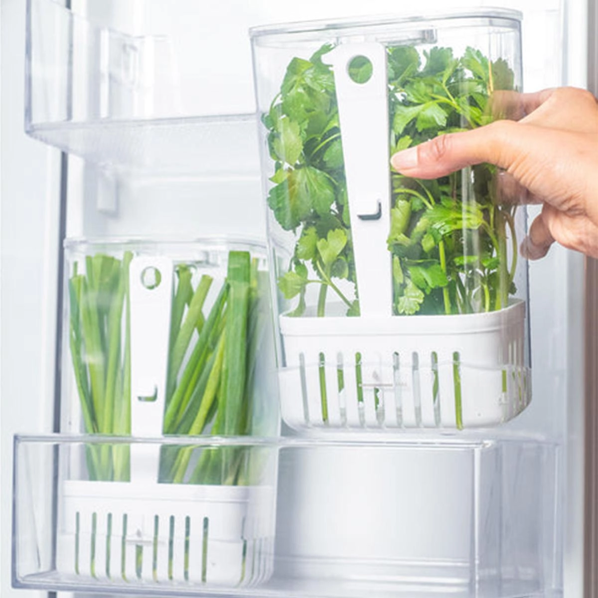Organizador de Temperos Clear Fresh 2,3 Litros Martiplast Ou - Natural 