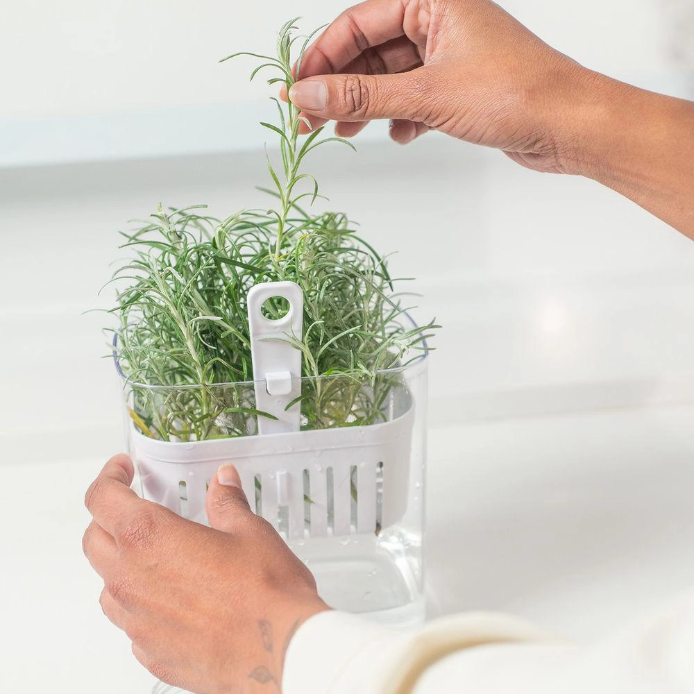 Organizador Temperos Clear Fresh 1,5 Litro Martiplast Ou - Natural 